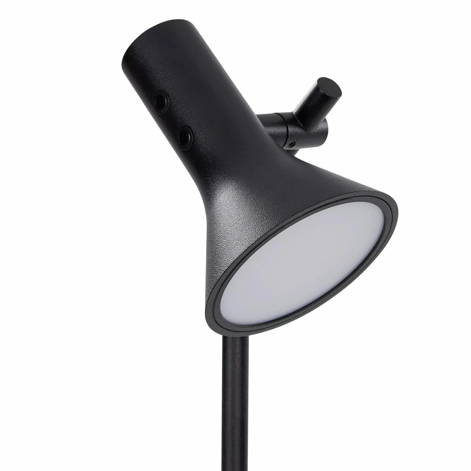 Asha - Floor Lamp in Black Metal by Ligne Roset