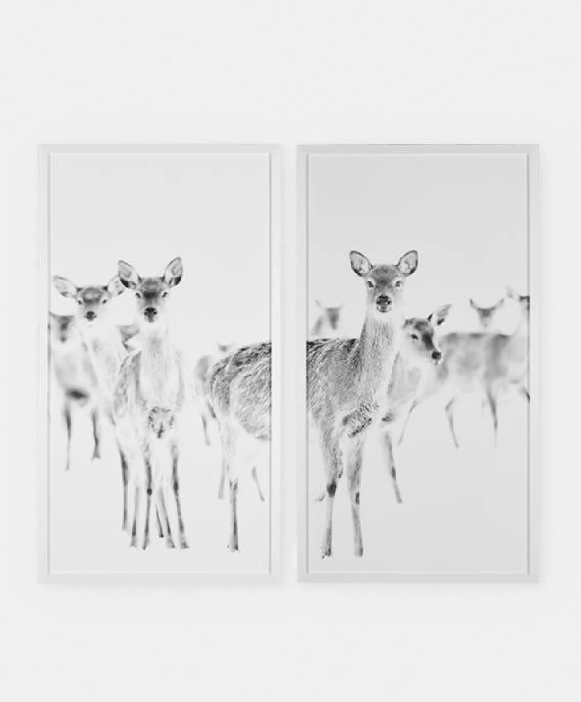 Chevreuils - Set of Two Printed Frames