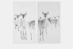Chevreuils - Set of Two Printed Frames