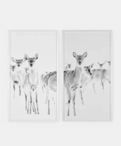 Chevreuils - Set of Two Printed Frames