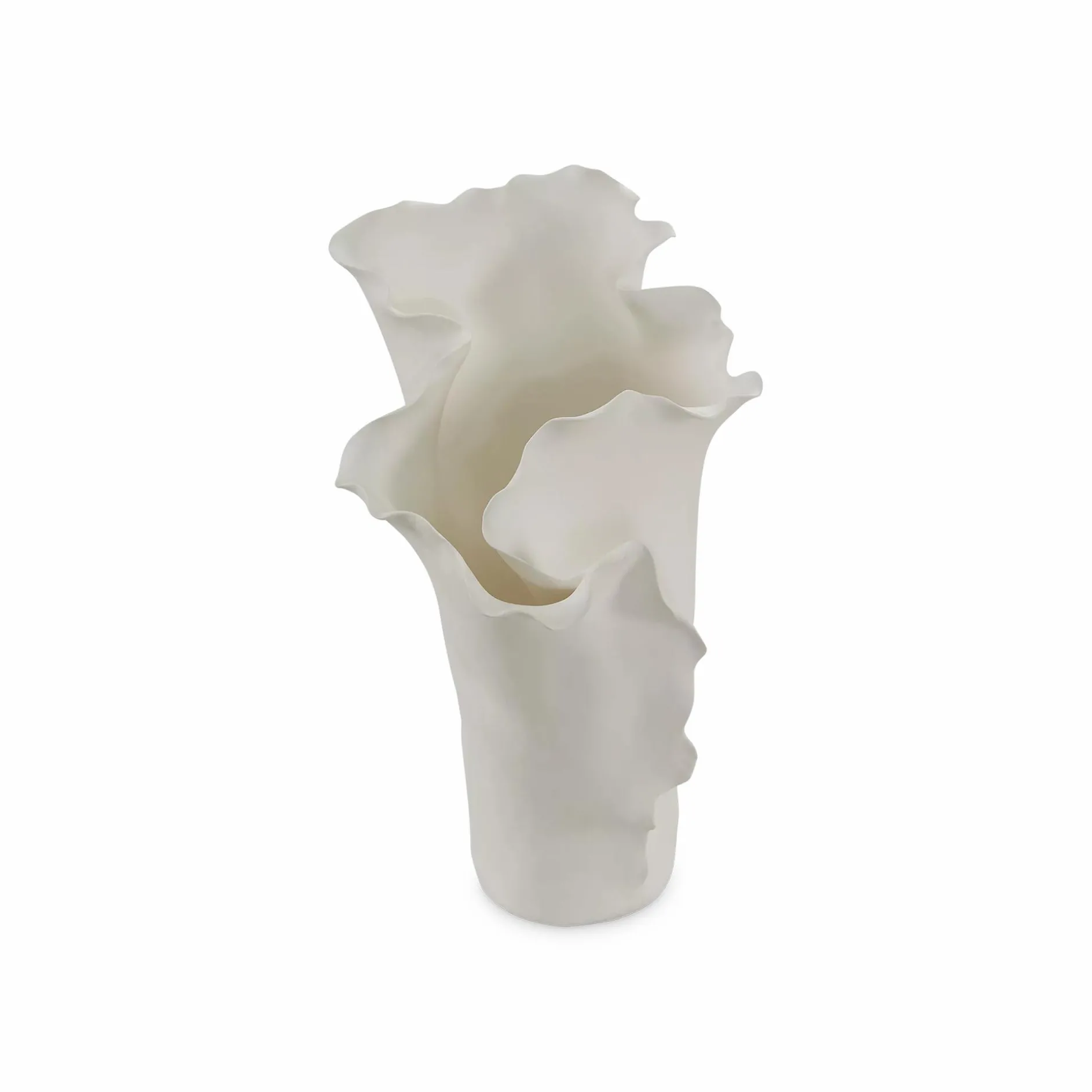 Conchilia - Vase