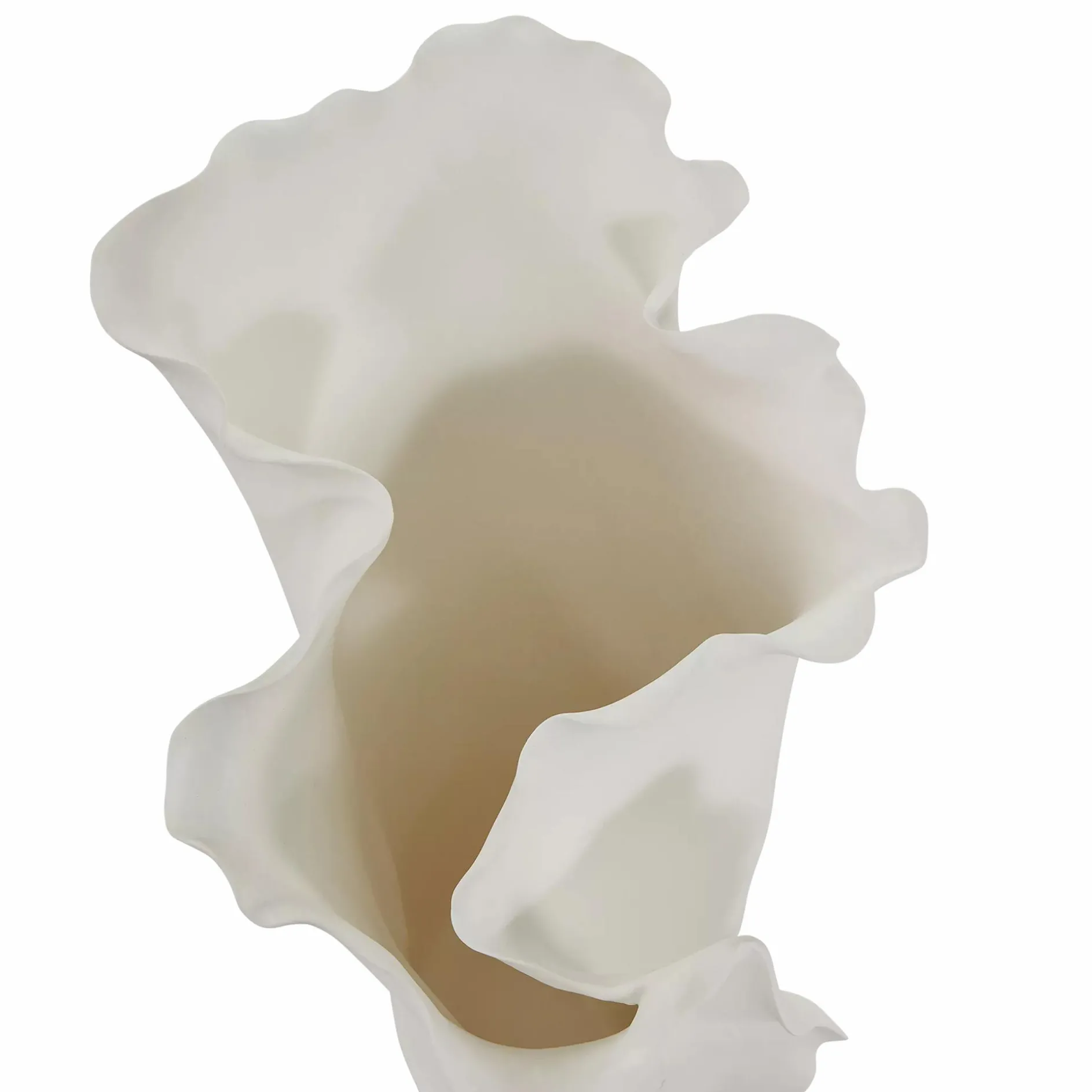 Conchilia - Vase
