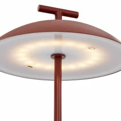 Geen-A - Table Lamp in Powder-Coated Steel – Kartell