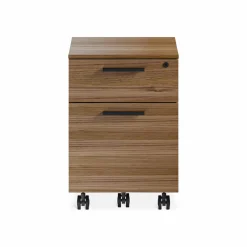 Linea 6227 - Mobile Filing Cabinet by BDI