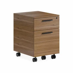 Linea 6227 - Mobile Filing Cabinet by BDI