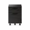 Linea 6227 - Mobile Filing Cabinet by BDI