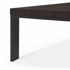 Ozio - Solid Wood Top Coffee Table by Mobican