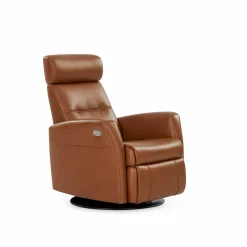 Regent II Oval - Leather Power Recliner