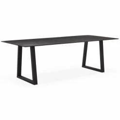 Spinoza - Raw Metal Top Dining Table