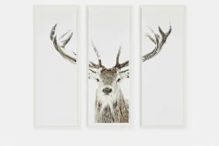 Stag - Set of Three Printed Frames