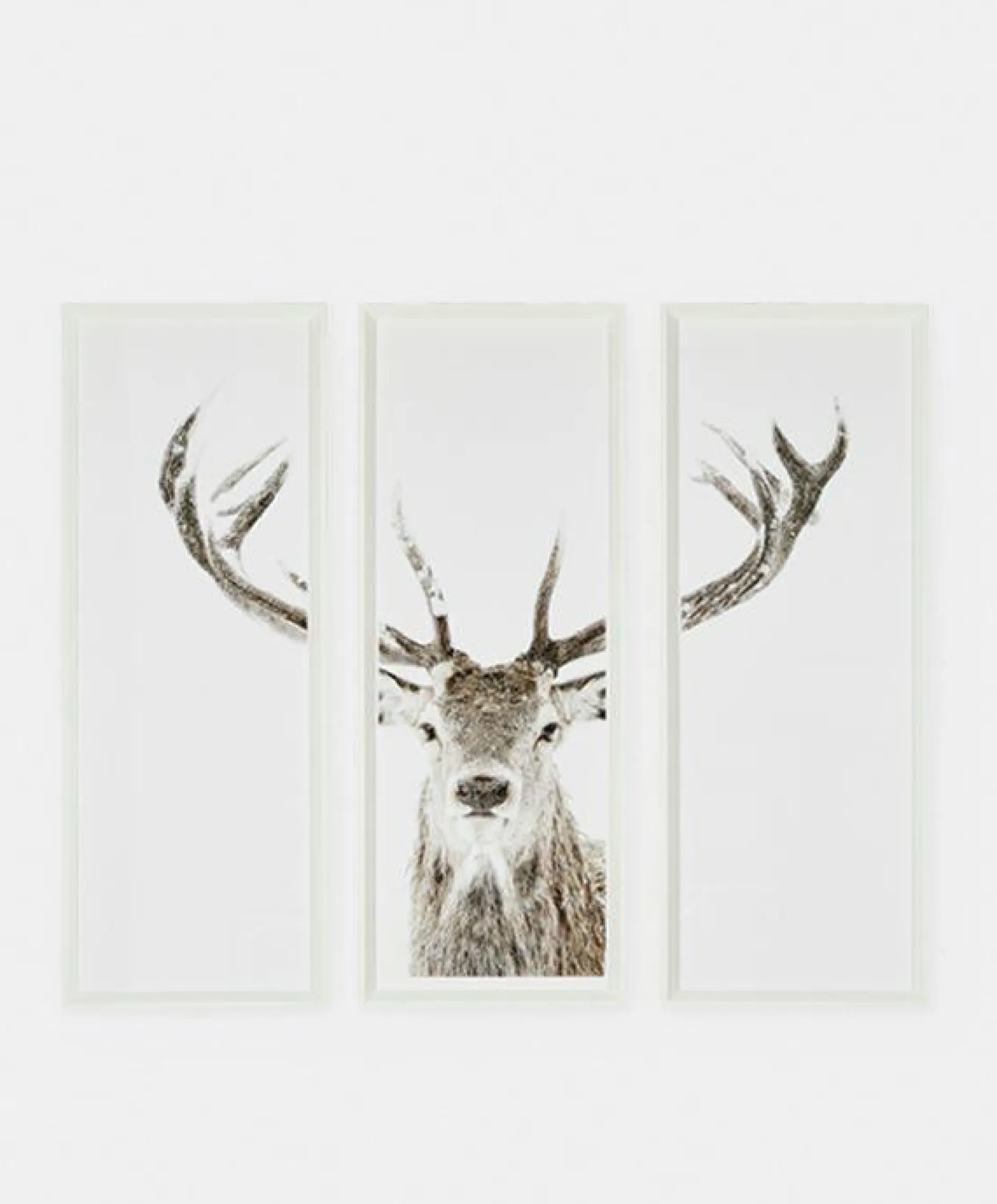 Stag - Set of Three Printed Frames