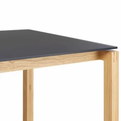 Vinci - Glass Top & Wood Base Dining Table by Mobican